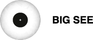 Partner 11